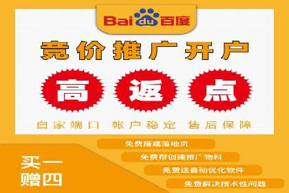 百度SEM代运营案例揭秘，如何实现ROI最大化